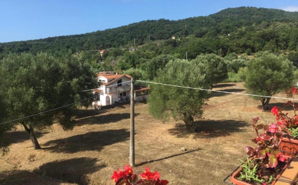 Ferienwohnung Residenza Longobardi Vibonati Exterior foto