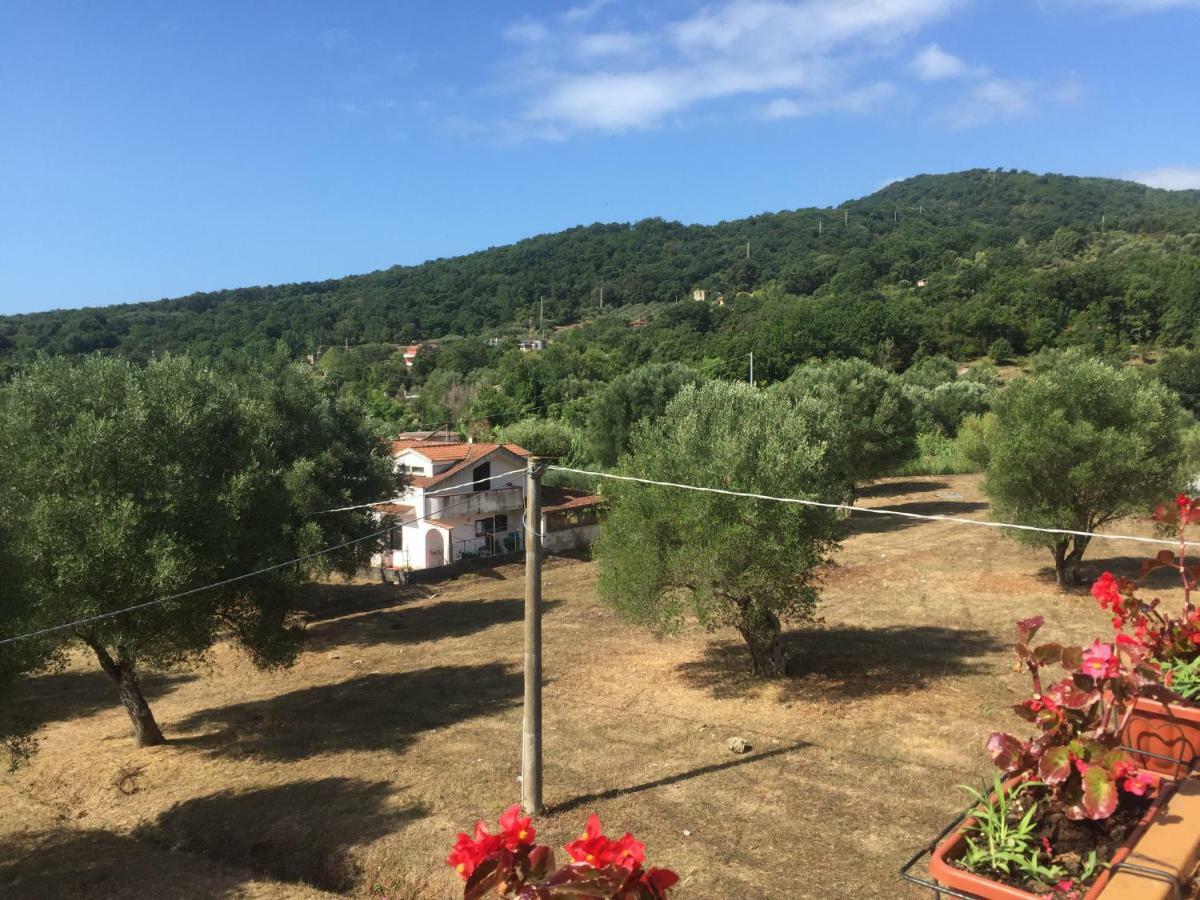Ferienwohnung Residenza Longobardi Vibonati Exterior foto